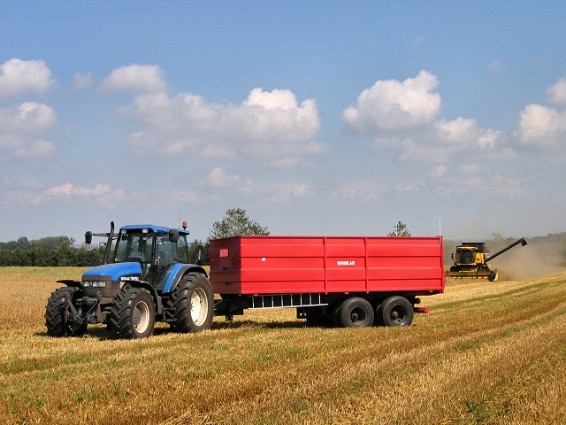 Fogager - s skal kornet hstes