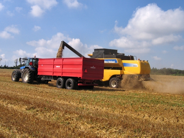 Fogager - s skal kornet hstes