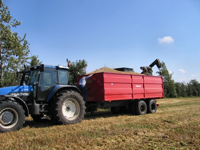 Fogager - s skal kornet hstes