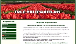 Fole tulipaner